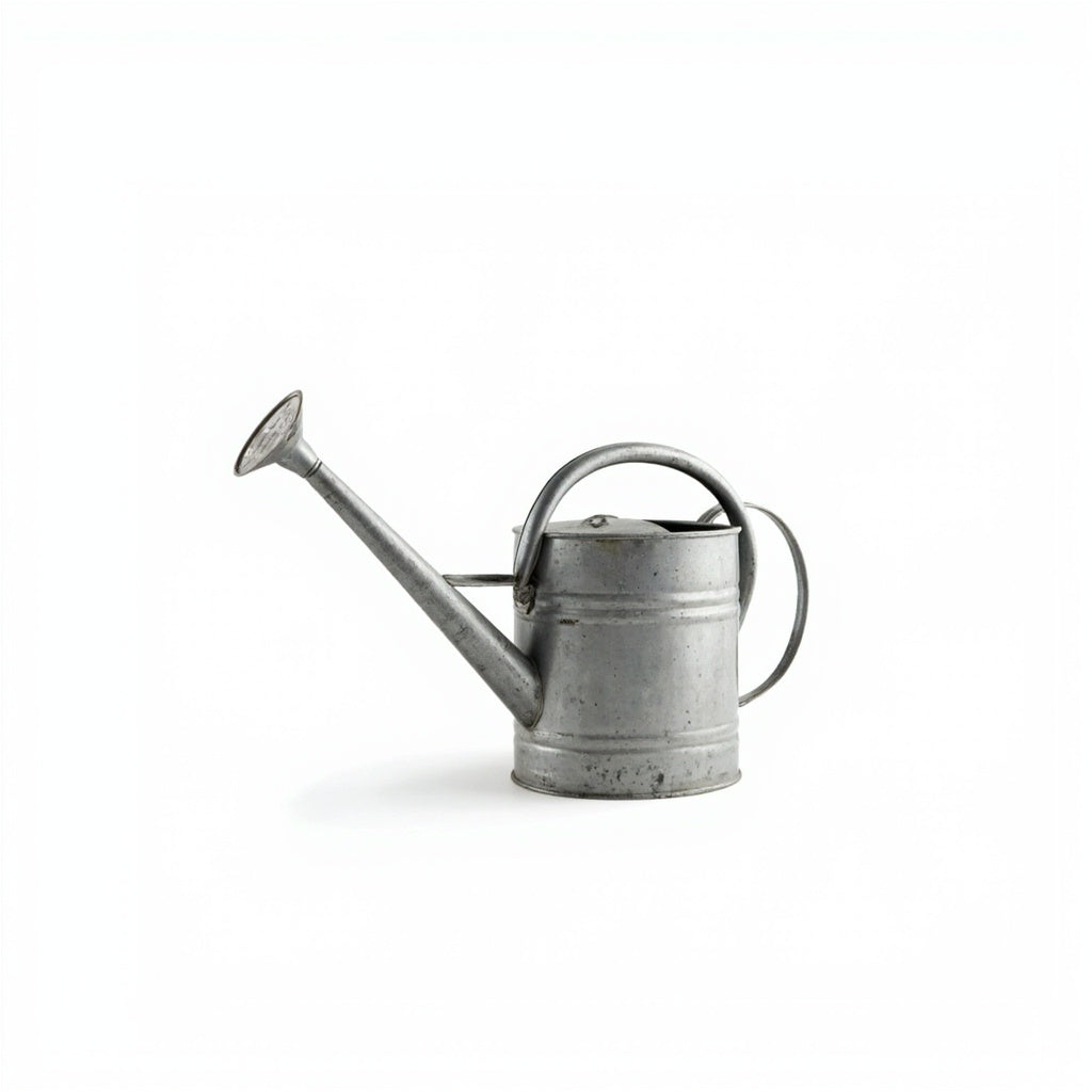 Galvanized Steel Watering Can 2 Gallon