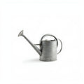 Galvanized Steel Watering Can 2 Gallon