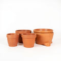 Terracotta Plant Pots Set of 5 with Saucers