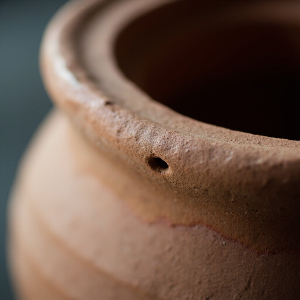 Terracotta Plant Pots Set of 5 with Saucers